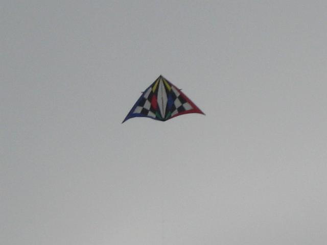 Drachenfest ULI 2008 054.jpg